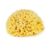 Burete natural de mare Honeycomb Spugnificio Bellini nr.8, 1 bucata, Dr. Brown’s