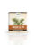 Ceai de Muguri de pin, 50g, Dorel Plant