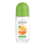 Deodorant antiperspirant roll on Vitamina C, 50ml, Elmiplant