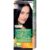 GARNIER COLOR NAT 2.10 NEGRU ALBASTRUI