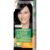 Garnier Color Nat 1 Negru