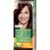 Garnier Color Nat 4 Saten